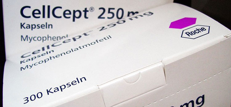 buy cellcept in Vermont