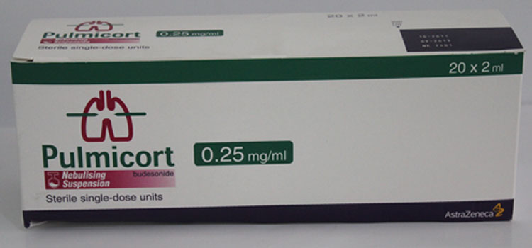 buy pulmicort in Vermont