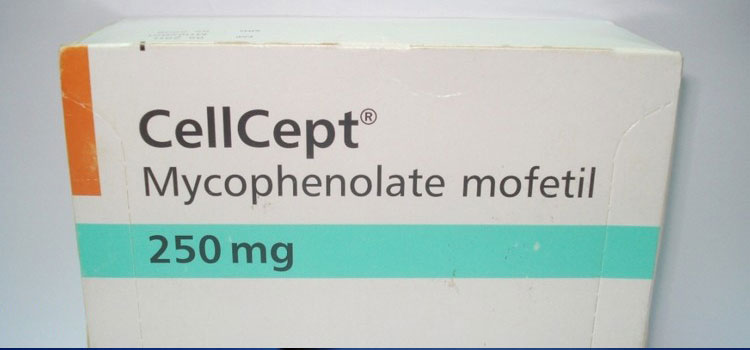 order cheaper cellcept online in Vermont
