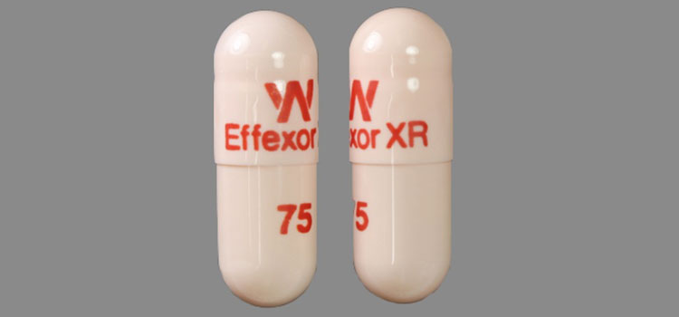 order cheaper effexor online in Vermont