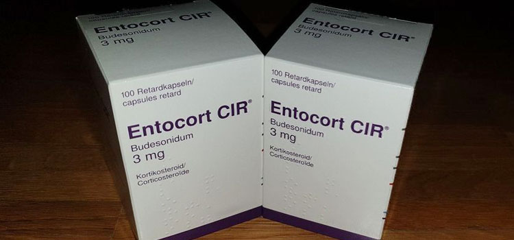 order cheaper entocort online in Vermont