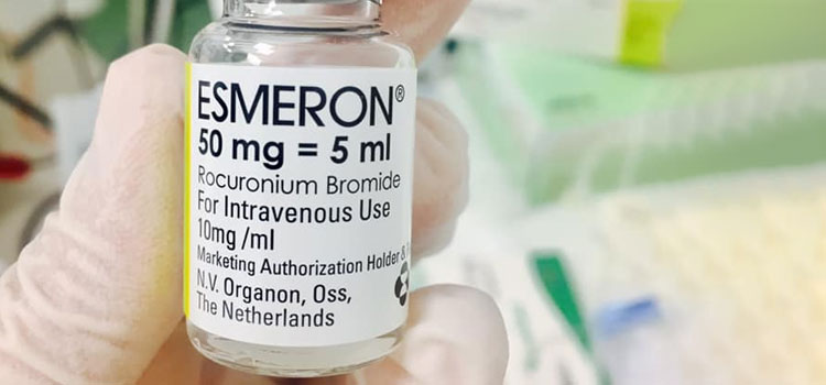 order cheaper esmeron online in Vermont