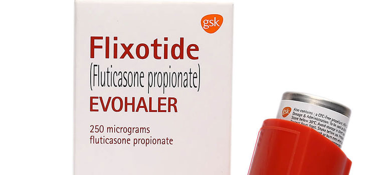 order cheaper flixotide online in Vermont