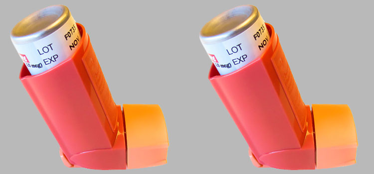 order cheaper flovent online in Vermont