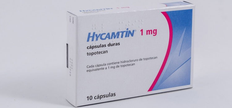 order cheaper hycamtin online in 