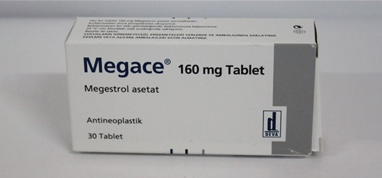 order cheaper megace online in Vermont