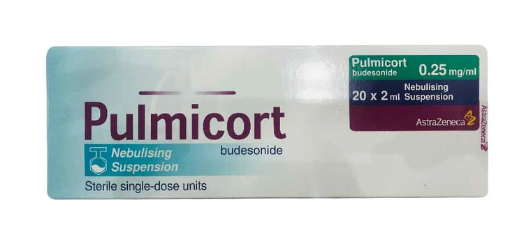 order cheaper pulmicort online in Vermont
